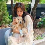 shiyi shi Profile Picture