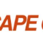 CapeCup SA Profile Picture