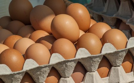 Maroc 24 المغرب 24 – Maroc 24 أخبار المغرب 24 لحظة بلحظة و تغطية مستمرة على مدار الساعة