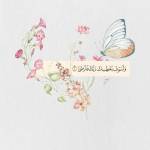 nada Hamed profile picture