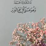 Wedad Abdullah profile picture